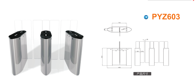 随州高新区平移闸PYZ603